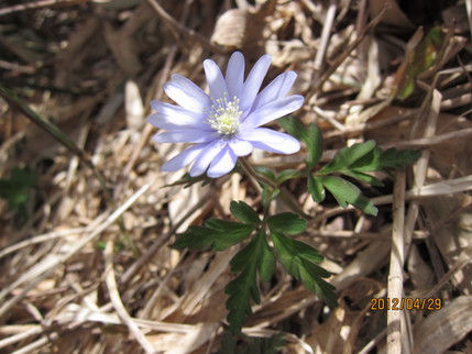 b0148050_22593990.jpg