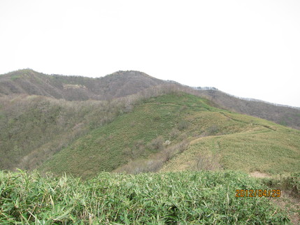 b0148050_2312417.jpg
