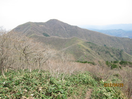 b0148050_231657.jpg