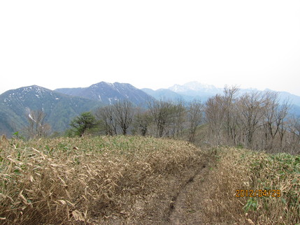 b0148050_2332338.jpg