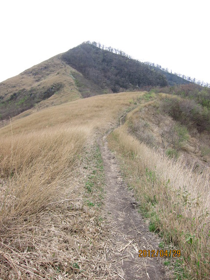 b0148050_2344489.jpg