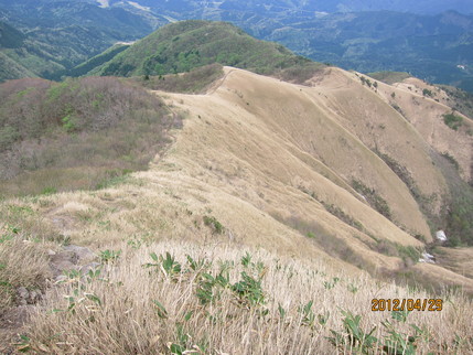 b0148050_234830.jpg