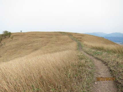 b0148050_2353135.jpg