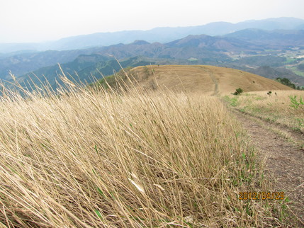 b0148050_2354468.jpg