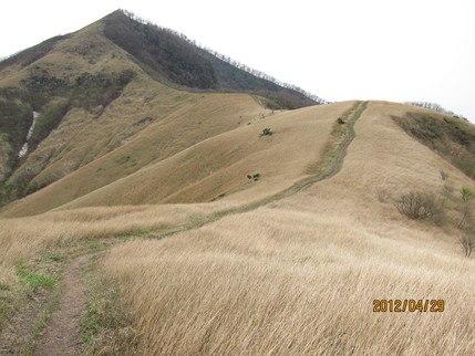 b0148050_236155.jpg