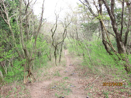 b0148050_2364346.jpg