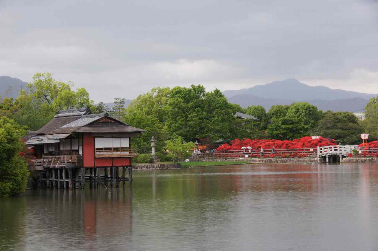 d0048750_2117136.jpg