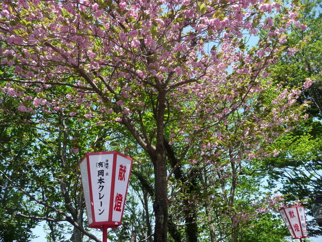 f0208760_1731048.jpg