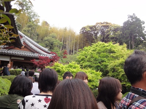 c0083165_18352458.jpg
