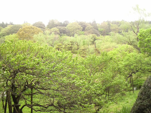 f0065167_117457.jpg