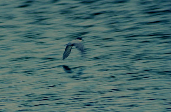 a0053771_8571167.jpg