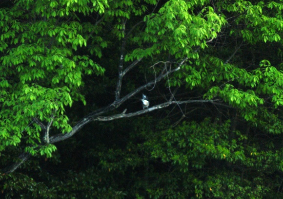 a0053771_8572655.jpg