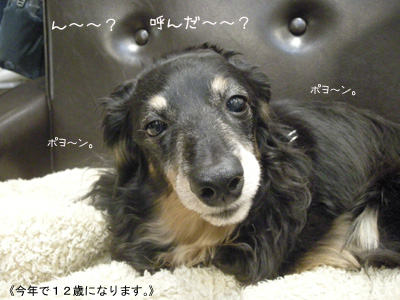 b0249672_15535535.jpg