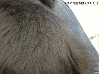 b0249672_15554289.jpg