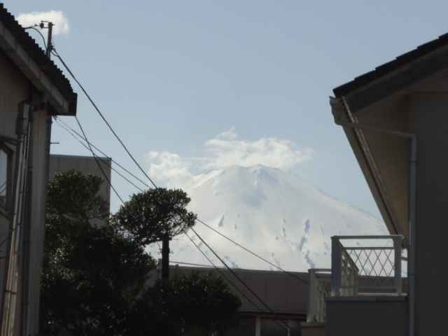 d0109373_18433541.jpg