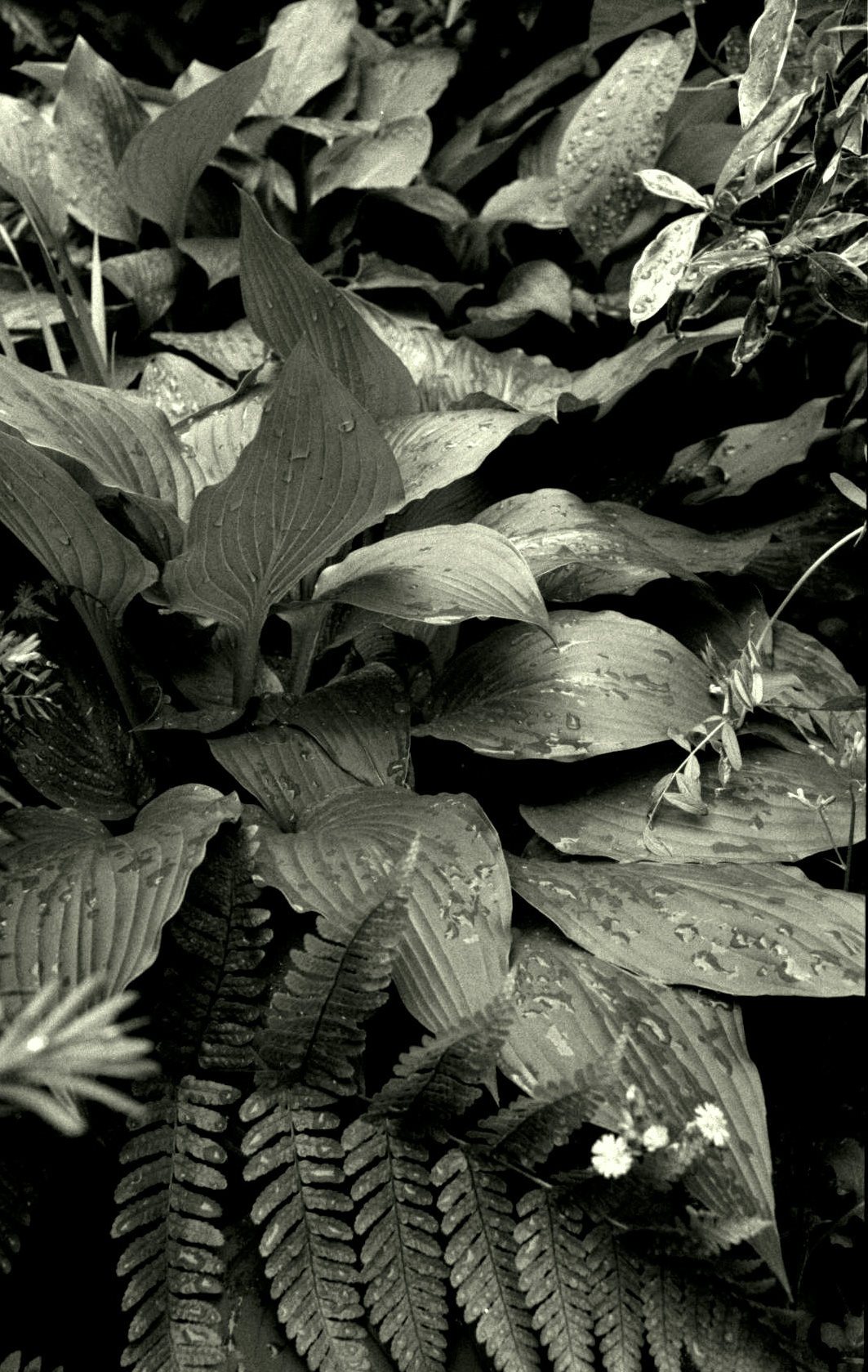 f0160179_14443544.jpg