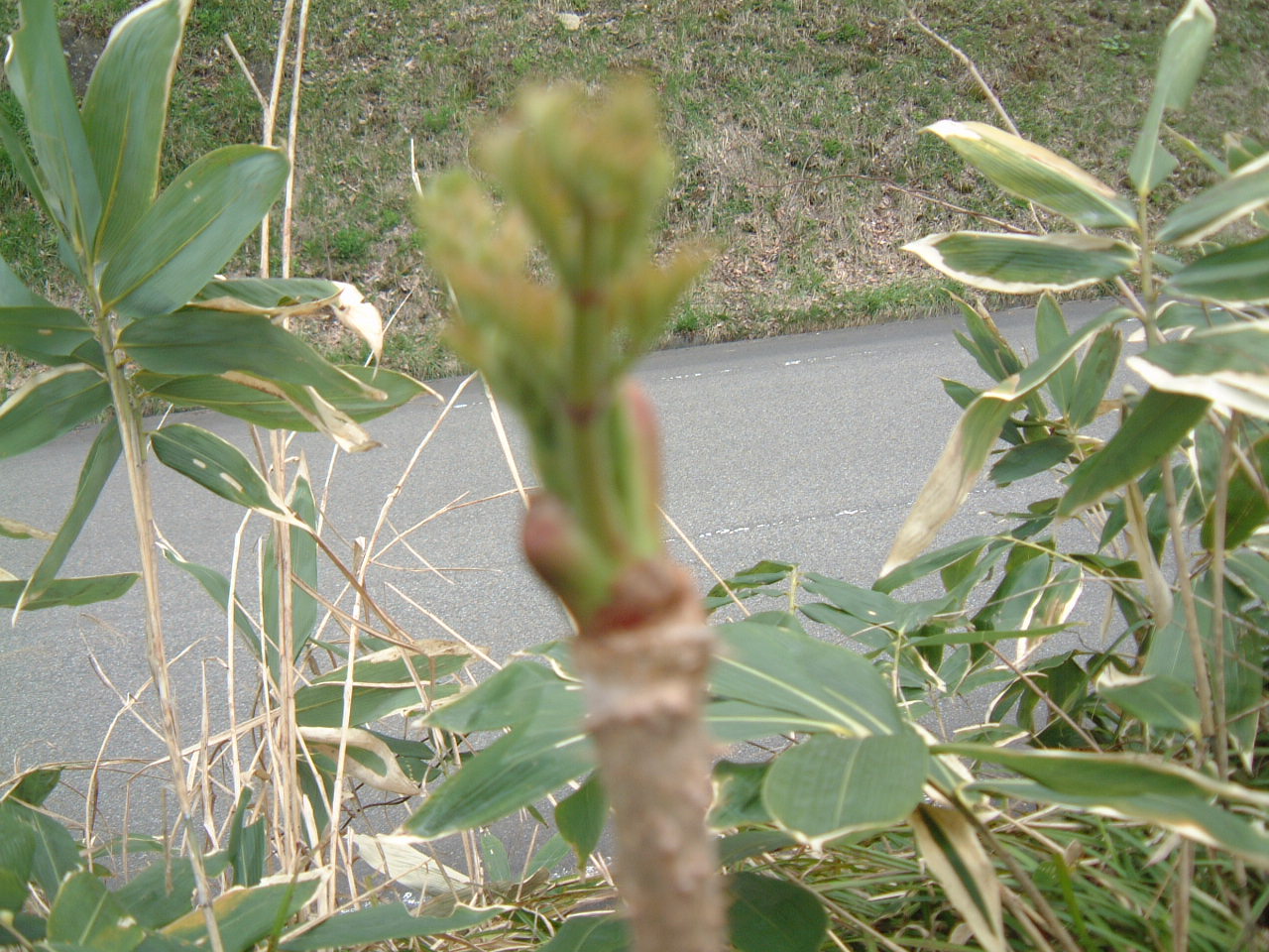 c0237780_12105112.jpg