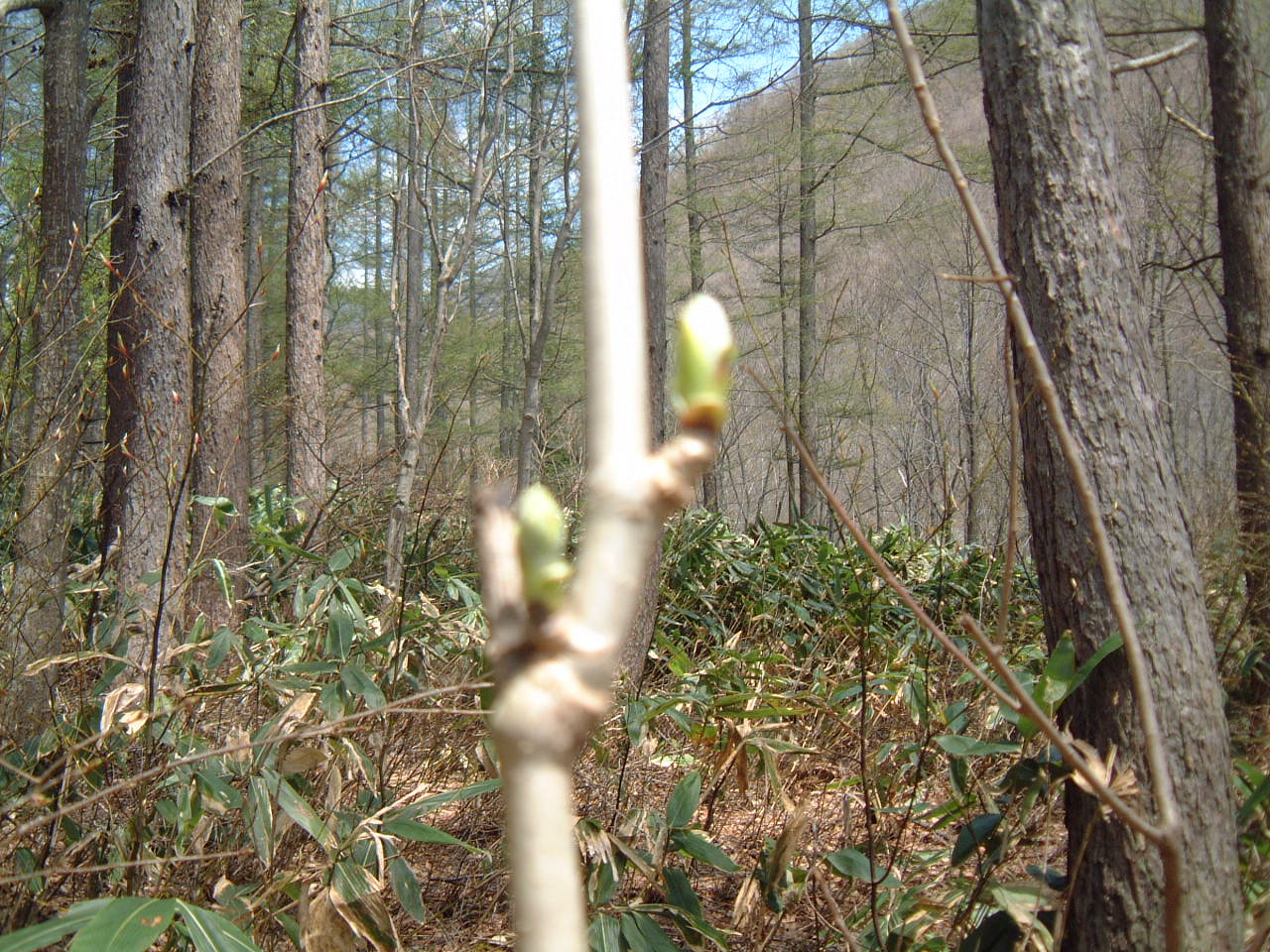 c0237780_121286.jpg
