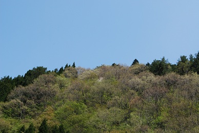 a0133886_18133765.jpg