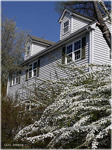 e0138787_9473069.jpg