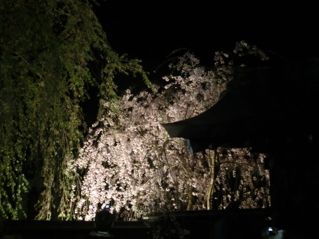 b0203588_10263510.jpg