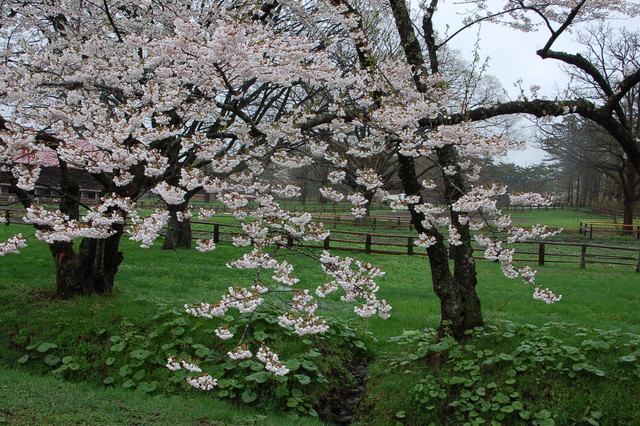b0203588_10283940.jpg