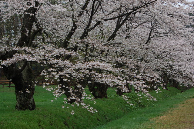 b0203588_10292072.jpg