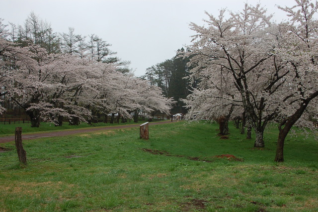 b0203588_10294591.jpg