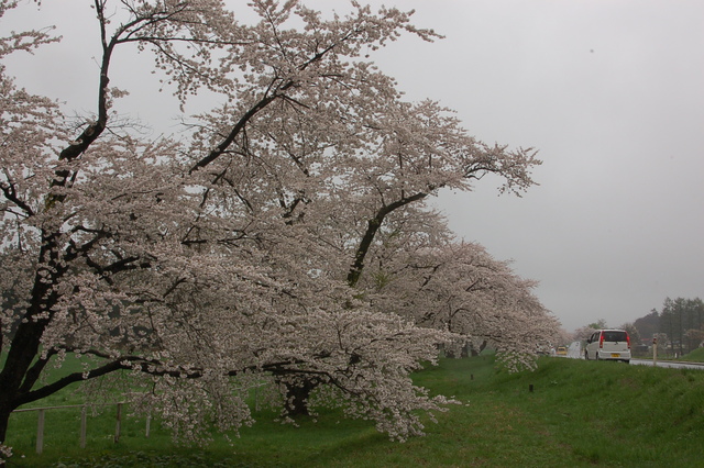 b0203588_10301113.jpg