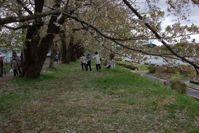 b0203588_1035756.jpg