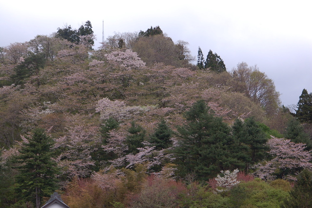 b0203588_1043083.jpg