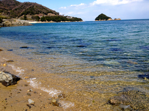 c0123189_13304529.jpg