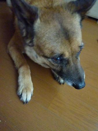 c0123890_2183879.jpg