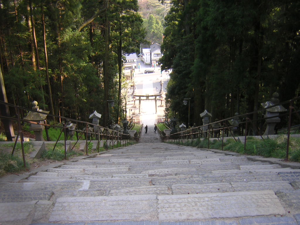 f0181793_2036549.jpg