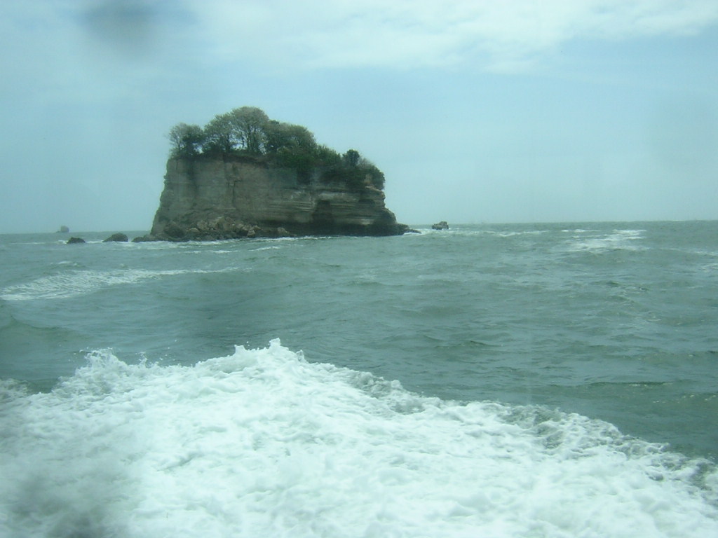 f0181793_20423842.jpg