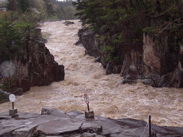 f0181793_215026.jpg