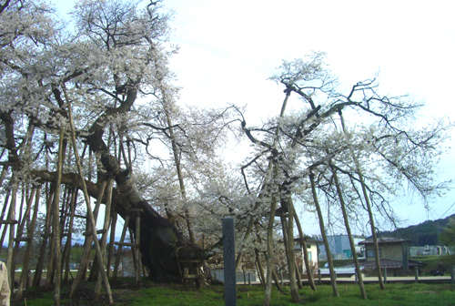 b0099994_16415361.jpg
