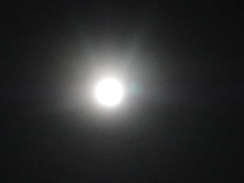c0034396_21283577.jpg