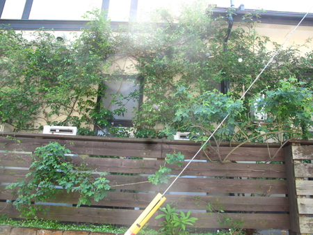 f0178897_1145658.jpg