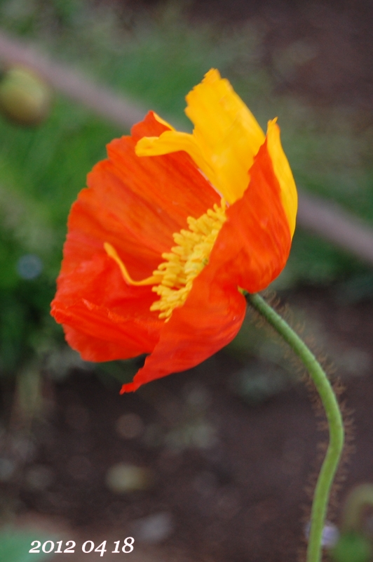 a0155999_148955.jpg