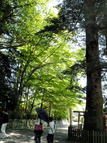 f0176499_204848100.jpg
