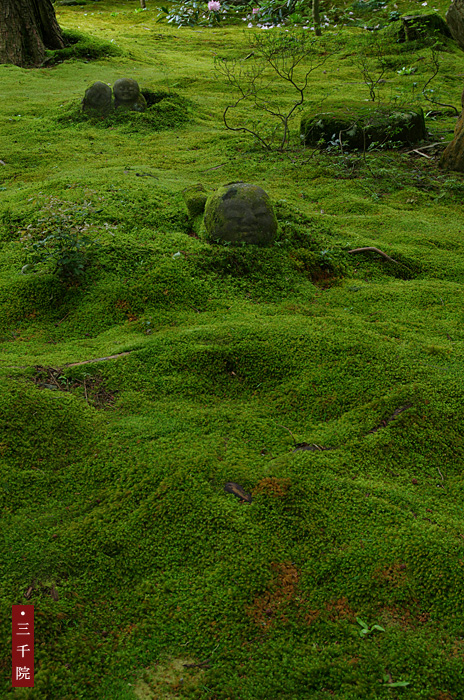 c0183700_1983767.jpg