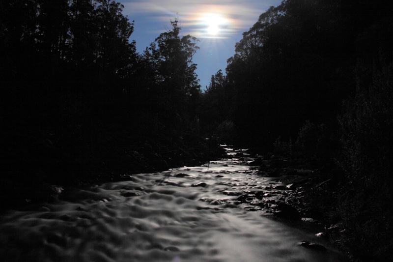 c0248100_23213318.jpg