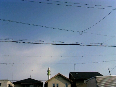 a0270501_16415475.jpg