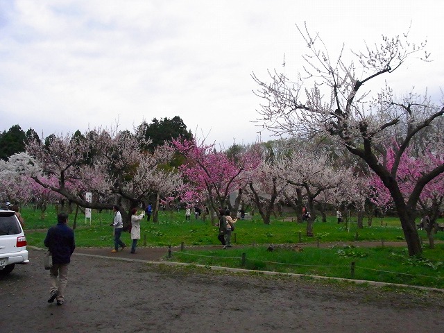 f0157901_20283972.jpg
