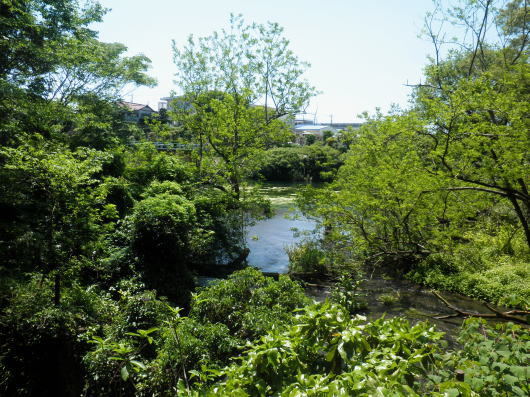 b0055202_18132978.jpg