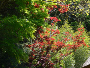 e0247702_5281247.jpg