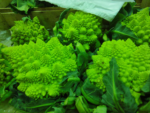 a0123904_17321234.jpg