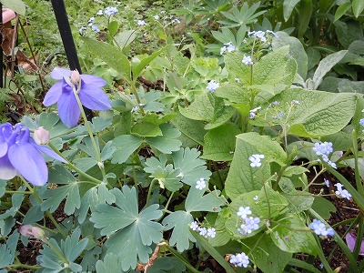 c0117007_2011627.jpg