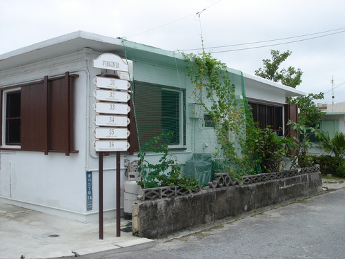 d0154508_741662.jpg